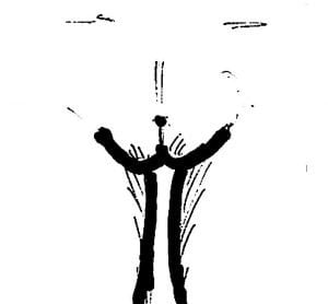 Labia Minora are not visible in the standing position.